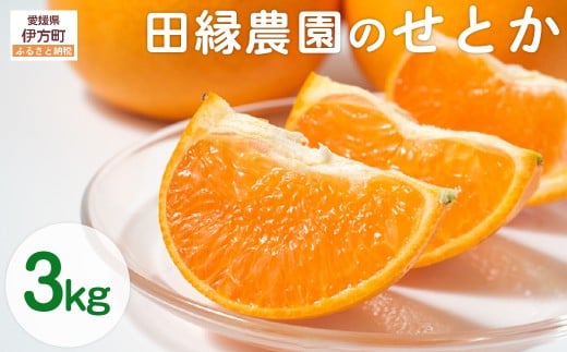 【先行予約】【数量限定】田縁農園のせとか3kg ※離島への配送不可 （2026年3月5日より順次発送） 【 ふるさと納税 人気 おすすめ ランキング みかん ミカン 蜜柑 せとか フルーツ 果物 愛媛県産 田縁農園 愛媛県 伊方町 送料無料 】 IKTA015 2114360 - 愛媛県伊方町