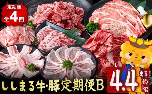 【定期便全4回】ししまる牛・豚定期便B(4ヶ月連続・約4.4kg) 黒毛和牛 国産牛 九州産 豚 豚肉 肉 牛肉 国産 4等級 小分け 真空包装 冷凍 t0050-021