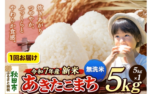 《令和7年産 新米先行受付》 米 あきたこまち 5kg 【無洗米】 秋田県産 2271221 - 秋田県秋田市