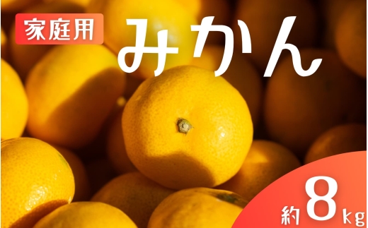 【ご家庭用】手選別 温州みかん 約8kg 和歌山県産 2S~2Lサイズ混合※2025年11月上旬～2026年2月中旬ごろに順次発送【mrmt042】 