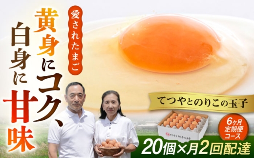 《月2回 × 20個  6ヶ月コース》 【7日・21日ごろ出荷】卵 てつやとのりこの玉子  全12回定期便 糸島市 / 板垣ファーム 卵 たまご 玉子 鶏卵 卵かけご飯 便利 定期便 定期購入 [AWD013-1] 1033953 - 福岡県糸島市