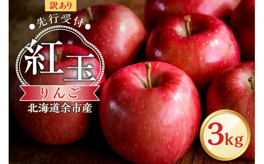 【先行予約：2025年10月中旬より発送】訳アリ りんご（紅玉）3kg【北海道余市町産】