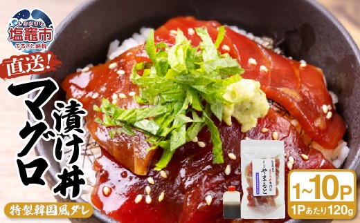 【直送マグロ使用】まぐろパック 特製韓国風タレ付 お試し 120g×(1~10パック) 塩竈市 塩釜 TUNA まぐろ屋やまもと
