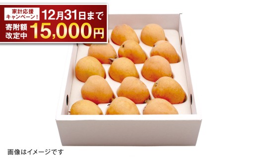 茂木 びわ『なつたより』2Lサイズ 15玉入り
