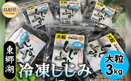 C24-012 東郷湖冷凍しじみ(大粒) 3kg