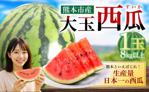 大玉西瓜(1玉入り)8kg以上 すいか スイカ