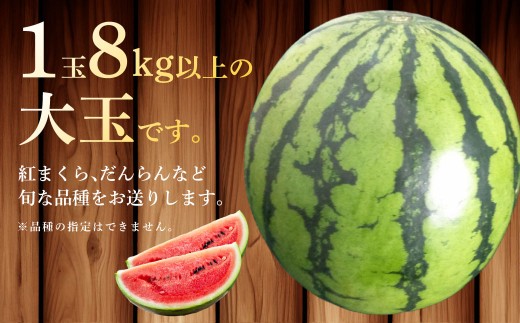 大玉西瓜（1玉入り）8kg以上 すいか スイカ