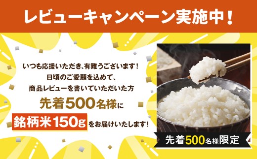 BALMUDA The Pure A01A／JP