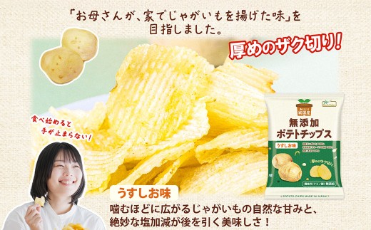 【年4回定期便／3ヶ月毎】純国産 ポテトチップス うすしお味 12袋