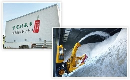 【6ヶ月連続お届け】北魚沼産コシヒカリ(長岡川口地域)10kg