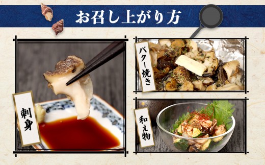 【定期便：6回】オホーツク海産 つぶの塩ゆで200g×6パック