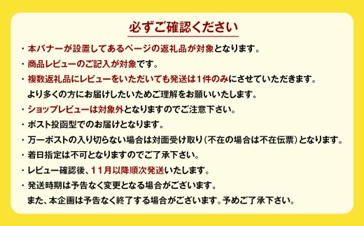 BALMUDA The Pure A01A／JP