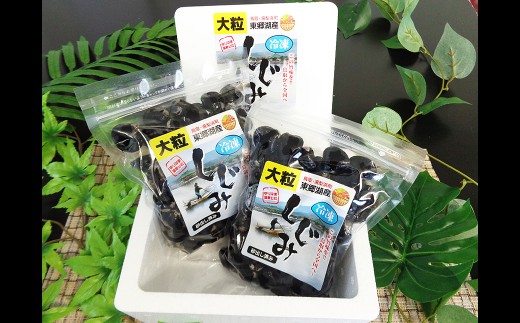 C24-012 東郷湖冷凍しじみ（大粒） 3kg