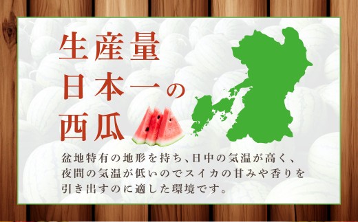 大玉西瓜（1玉入り）8kg以上 すいか スイカ