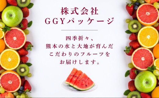 大玉西瓜（1玉入り）8kg以上 すいか スイカ