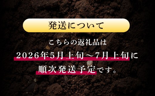 大玉西瓜（1玉入り）8kg以上 すいか スイカ