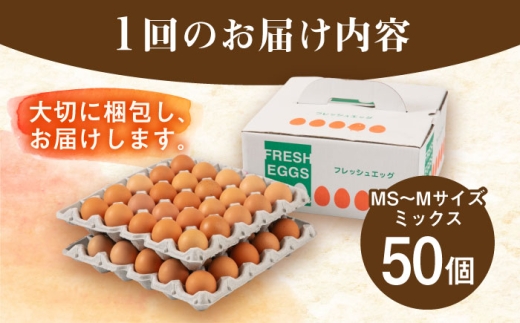 玉子 定期便 3回 たまご 卵 ミネラル 福岡