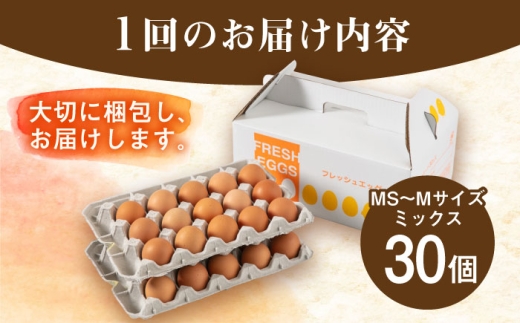 玉子 定期便 3回 たまご 卵 ミネラル 福岡