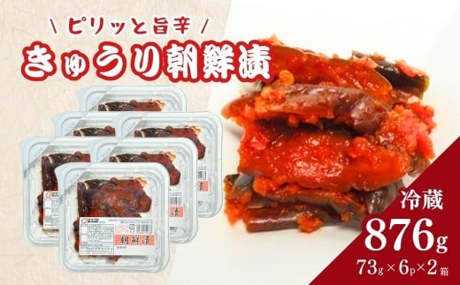 生カップきゅうり朝鮮漬 (タマゴヤの朝鮮漬) 876g(73g×6パック×2箱) | キムチ きゅうり 漬物  詰め合わせ ギフト 贈り物 贈答品 おかず香の蔵