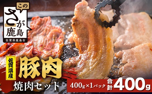 【配送月指定対応可】佐賀県産 豚肉 焼肉セット 400g A-221 お肉 豚 肉 焼き肉 やきにく 年内発送 年末配送 ロース バラ スライス