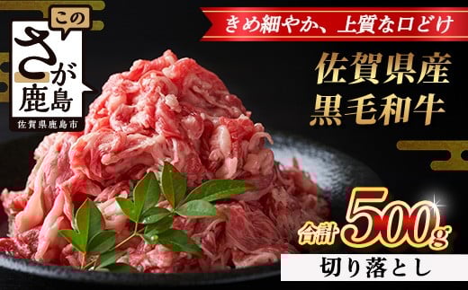 【配送月指定対応可】佐賀県産 黒毛和牛 切り落とし 500g B-862 牛肉 お肉 すき焼き すきやき しゃぶしゃぶ 年内発送 年末配送 切り落し 切落し 切りおとし