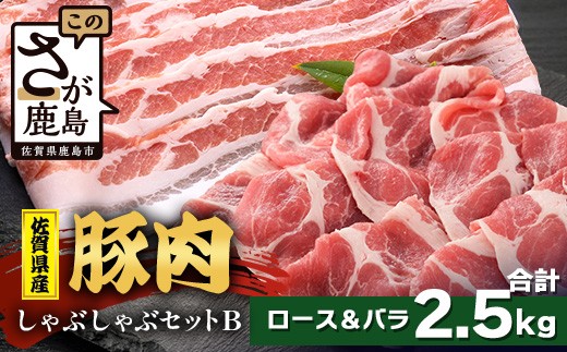 【配送月指定対応可】佐賀県産 豚肉 しゃぶしゃぶセット ロース バラ スライス 合計2.5kg D-259 お肉 しゃぶしゃぶ 年内発送 年末配送