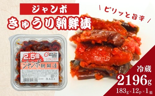 生カップジャンボ朝鮮漬きゅうり (タマゴヤの朝鮮漬) 2,196g(183g×12パック×1箱) | キムチ きゅうり 漬物  詰め合わせ ギフト 贈り物 贈答品 おかず香の蔵