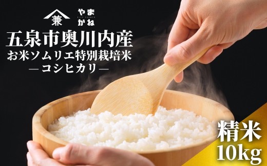 【2025年産新米】五泉市奥川内産 お米ソムリエ特別栽培米 コシヒカリ 精米 10kg(5kg×2袋) 新潟県 五泉市 ライスファーマーやまかね 2258080 - 新潟県五泉市