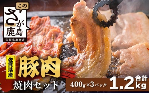 【配送月指定対応可】佐賀県産 豚肉 焼肉セット 400g×3（合計1.2kg）C-165 お肉 豚 肉 焼き肉 やきにく 年内発送 年末配送 ロース バラ スライス