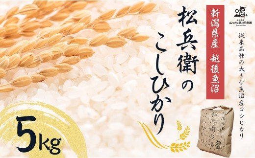 令和5年産米