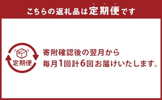 【全6回定期便】 おまかせフラワーアレンジメント 【L】 長崎県産 お花 花 ギフト