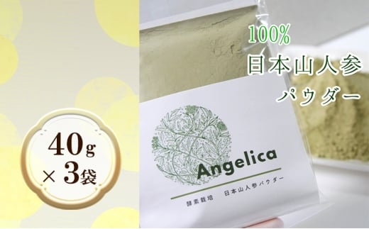 希少★日本山人参パウダー40g×3袋