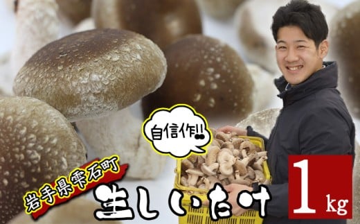 国産 岩手県産 肉厚 生しいたけ 1kg 【さくらだファーム】 椎茸 しいたけ シイタケ きのこ 茸 キノコ 野菜 やさい １ｋｇ 1キロ １キロ 出汁 だし ダシ 旨味 鍋 なべ 煮物 煮込み 七輪 焼き物 串焼き 素焼き ＢＢＱ BBQ 人気 おすすめ 259731 - 岩手県雫石町