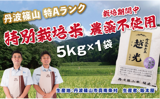 [令和7年産]丹波篠山産 特別栽培米 越光(農薬不使用)(5kg×1袋) 兵庫県 丹波篠山市 白米 100%単一原料米 産地直送米 贈答 おいしい お米 精米 コシヒカリ ブランド おこめ 健康 ギフト 内祝い 贈り物 送料無料 おすすめ 人気 口コミ