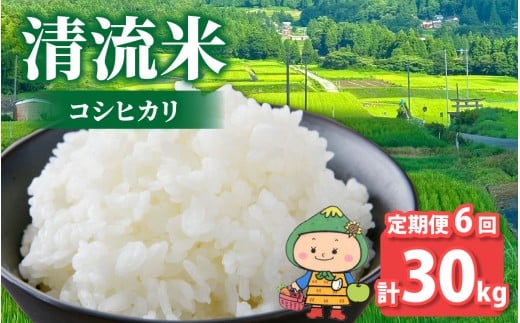 【先行予約】【令和7年産 新米】【6ヶ月定期便】【福井県大野市】さかだに棚田清流米！(コシヒカリ)5kg × 6回 計30g「今話題の、あのバンドのロケ地！」#🍏