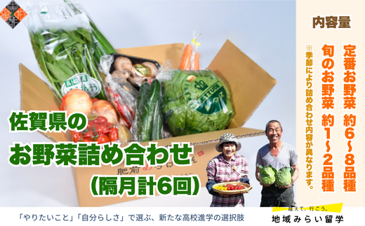 [定期便セット]佐賀県のお野菜詰合×隔月計6回(定番6〜8品目・季節2〜4品目)