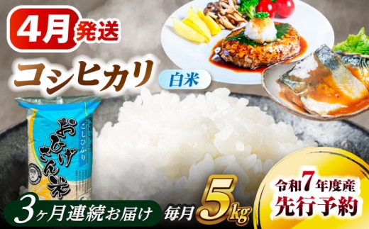 【3回定期便】 【4月発送開始】   コシヒカリ 白米 5kg×3回 愛西市 / 脇野コンバイン 米 お米 コメ [AECP024-4]