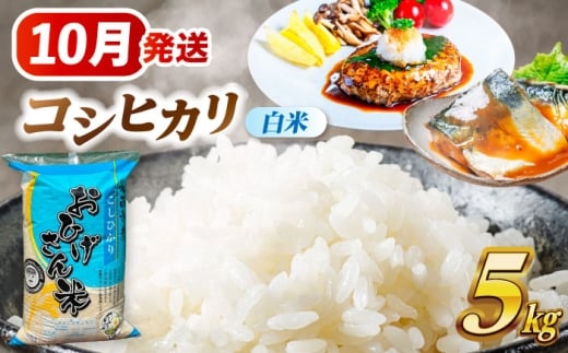 【10月発送】コシヒカリ 白米 5kg 愛西市 / 脇野コンバイン  米 お米 コメ [AECP021-2] 1455229 - 愛知県愛西市