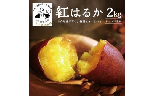 豊富な地下水と海からの潮風が育んださつまいも（紅はるか）　2kg SZ0300