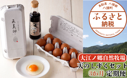 【3か月定期便】平飼い天美卵20個＆たまごかけご飯専用醤油「天のしずく」セット〈大江ノ郷自然牧場より直送〉