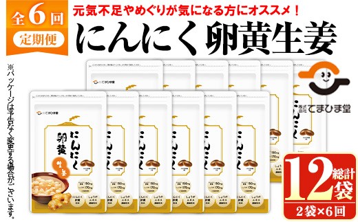 No.1285-B ＜定期便・全6回(隔月)＞てまひま にんにく卵黄生姜(62粒入・2袋×6回 計12袋) 鹿児島 日置市 ニンニク 健康食品 栄養 元気 カプセル 安全安心 生姜 サプリ 定期便 頒布会【てまひま堂】【1285】【1293】