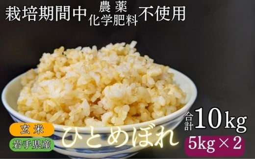 【 2025年 11月下旬より発送】 岩手県産 新米 ひとめぼれ 玄米 10kg ／ 農薬 化学肥料 ：栽培期間中 不使用 武田家のお米【米農家 仁左ェ門】 米 こめ コメ ご飯 ライス おにぎり 弁当 単一原料米 10キロ １０kg 産地直送 農家直送 国産 おすすめ 人気
