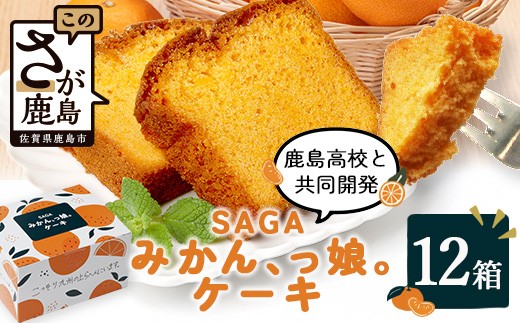 【鹿島高校 共同開発返礼品】SAGAみかん、っ娘。ケーキ 12箱（合計48個入り）E-169 スイーツ ケーキ 焼き菓子 焼菓子 みかん ミカン 蜜柑 みかんケーキ ミカンケーキ お土産 ご当地スイーツ プレゼント ギフト おみやげ