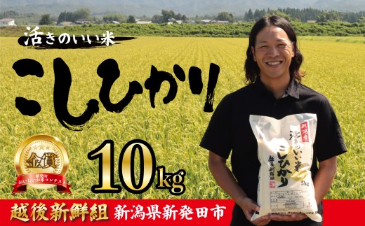 【2026年2月以降発送】令和7年産 コシヒカリ 10kg こしひかり 精米 白米 ご飯 おにぎり 弁当 新潟県産 新発田産 新潟 米 お米 こめ 受賞 越後新鮮組 新潟県 米 新潟県 新発田市 shinsengumi002_202602