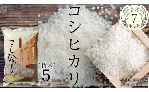 ＼ 9月出荷 新米／【令和7年産】コシヒカリ 精米5kg（5kg×1袋）（茨城県共通返礼品 かすみがうら市産） [EX010sa-09]