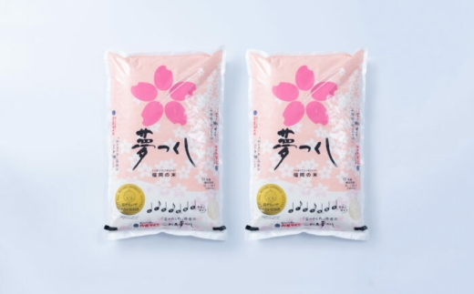 【令和6年産】果物屋さんが選んだ米 夢つくし 10kg 吉富町/南国フルーツ株式会社 [BGAG023]