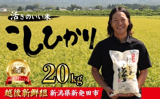 【2026年3月以降発送】令和7年産 コシヒカリ 20kg こしひかり 精米 白米 ご飯 おにぎり 弁当 新潟県産 新発田産 新潟 米 お米 こめ 受賞 越後新鮮組 新潟県 米 新潟県 新発田市 shinsengumi003_202603
