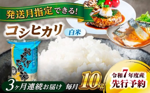 【3回定期便】＼選べる発送月／コシヒカリ 白米 10kg×3回 愛西市 / 脇野コンバイン  米 お米 コメ [AECP027]