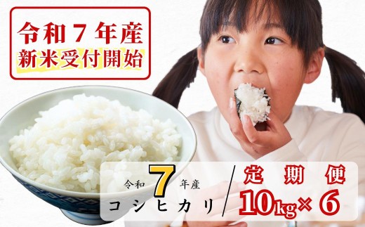 《令和7年産新米受付開始》【6回定期便】白米 10kg 令和7年産 コシヒカリ 岡山 あわくら源流米 K-ag-CEFA