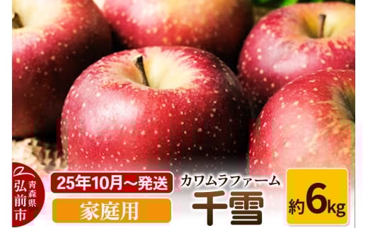 【25年10月～発送】りんご  千雪 約6kg カワムラファーム 家庭用【先行受付】 青森 果物 フルーツ 林檎 リンゴ くだもの 予約【レビューキャンペーン】